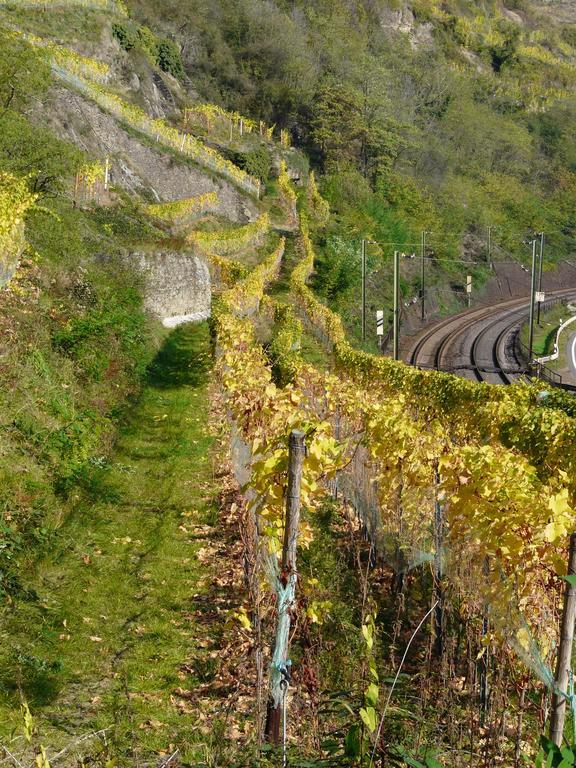 Gasthaus Weingut Stahl Oberwesel Exterior foto