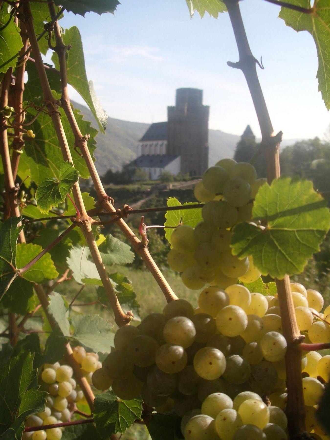 Gasthaus Weingut Stahl Oberwesel Exterior foto