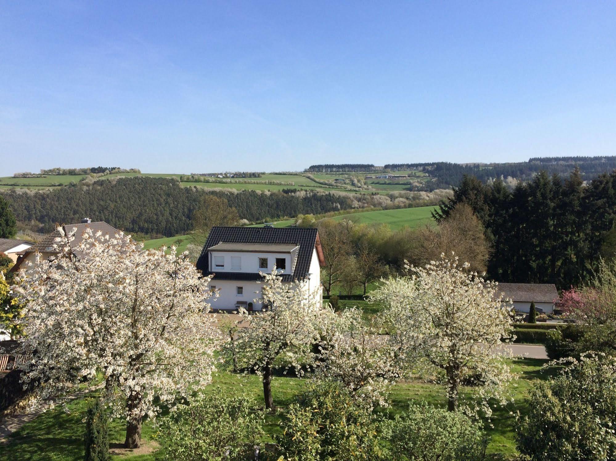 Gasthaus Weingut Stahl Oberwesel Exterior foto